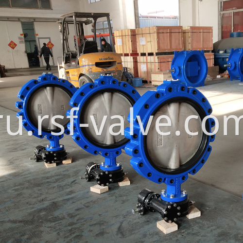 Fully Lug Concentric Butterfly Valve